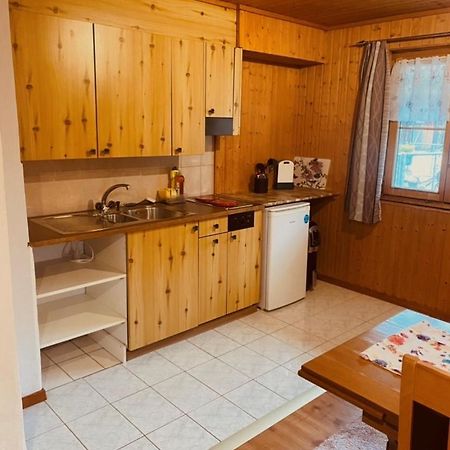 Guenstig Und Einfaches Studio Auf Dem Bauernhof Zuoz Kültér fotó
